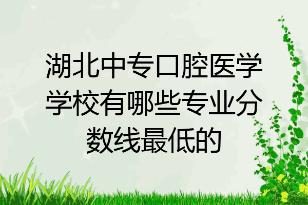 湖北中专口腔医学学校有哪些专业分数线最低的