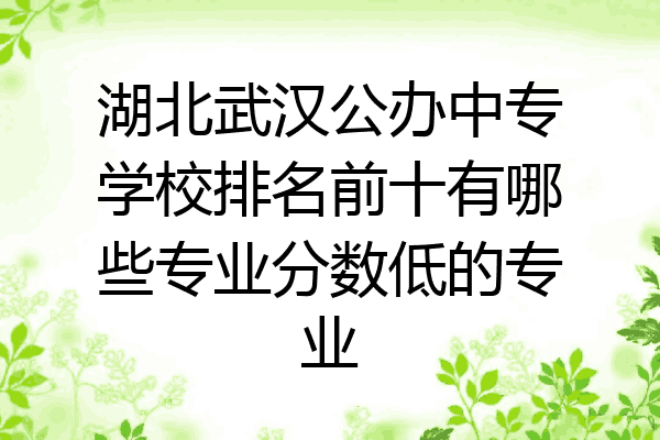 湖北武汉公办中专学校排名前十有哪些专业分数低的专业