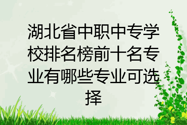 湖北省中职中专学校排名榜前十名专业有哪些专业可选择