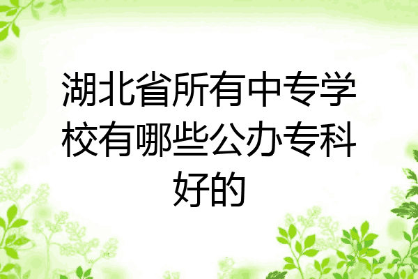湖北省所有中专学校有哪些公办专科好的