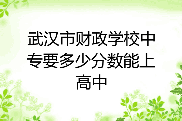 武汉市财政学校中专要多少分数能上高中