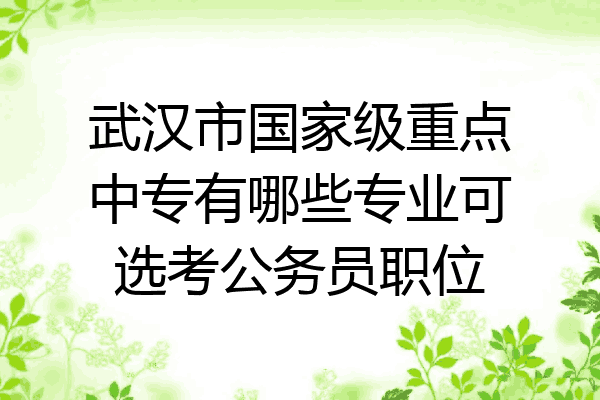 武汉市国家级重点中专有哪些专业可选考公务员职位