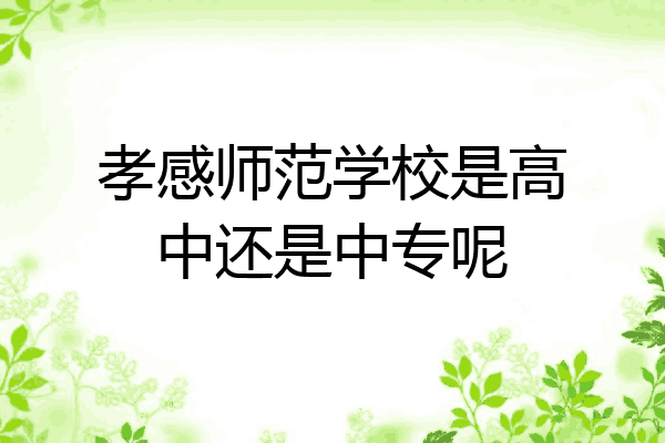 孝感师范学校是高中还是中专呢