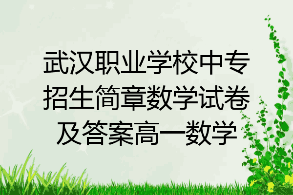 武汉职业学校中专招生简章数学试卷及答案高一数学