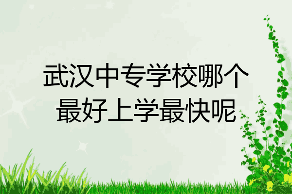 武汉中专学校哪个最好上学最快呢