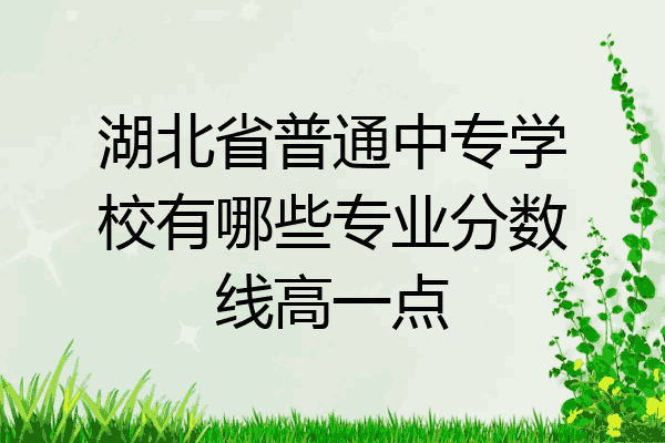 湖北省普通中专学校有哪些专业分数线高一点