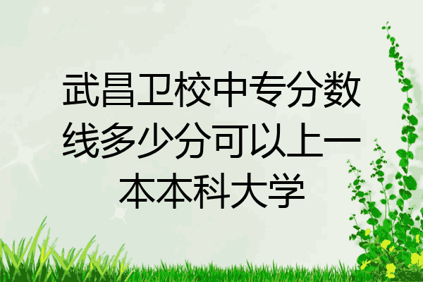 武昌卫校中专分数线多少分可以上一本本科大学