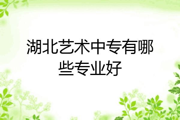 湖北艺术中专有哪些专业好