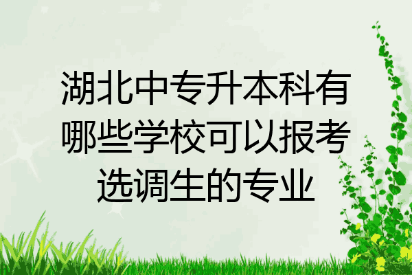 湖北中专升本科有哪些学校可以报考选调生的专业
