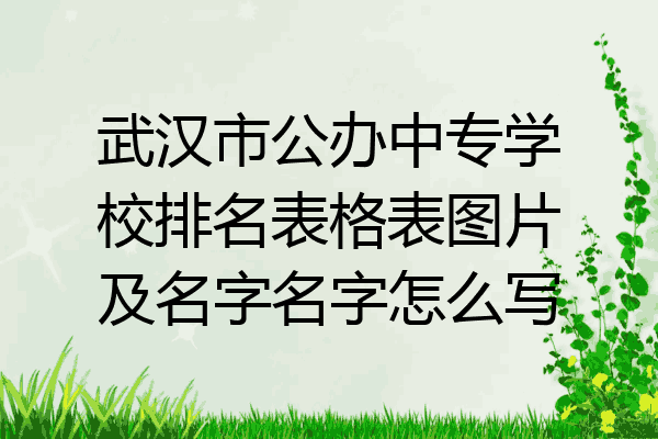武汉市公办中专学校排名表格表图片及名字名字怎么写