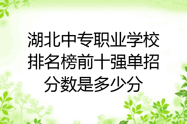 湖北中专职业学校排名榜前十强单招分数是多少分