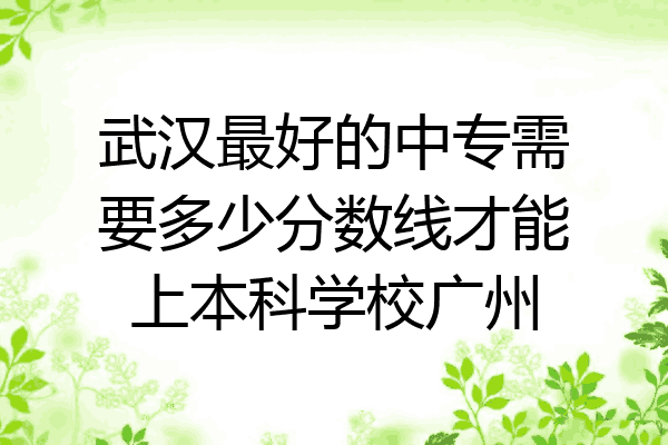 武汉最好的中专需要多少分数线才能上本科学校广州