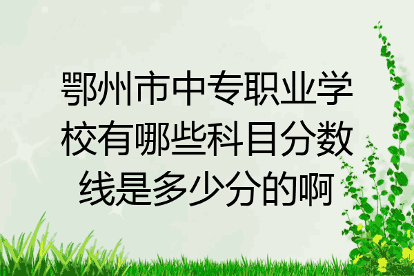 鄂州市中专职业学校有哪些科目分数线是多少分的啊