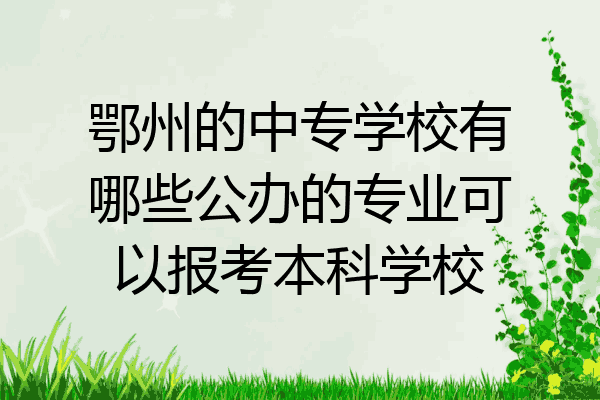鄂州的中专学校有哪些公办的专业可以报考本科学校