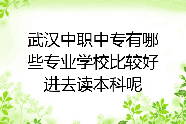武汉中职中专有哪些专业学校比较好进去读本科呢