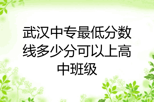 武汉中专最低分数线多少分可以上高中班级