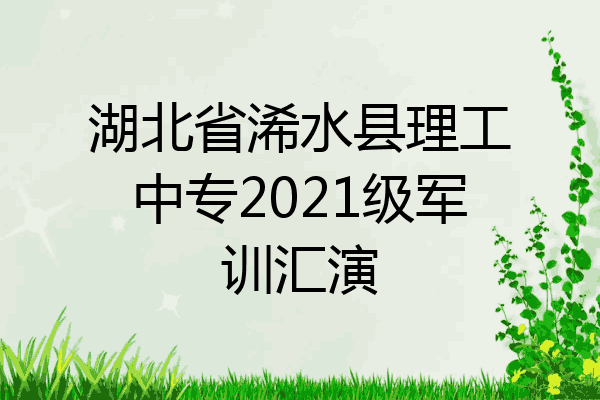 湖北省浠水县理工中专2021级军训汇演