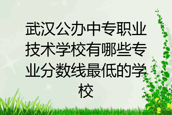 武汉公办中专职业技术学校有哪些专业分数线最低的学校