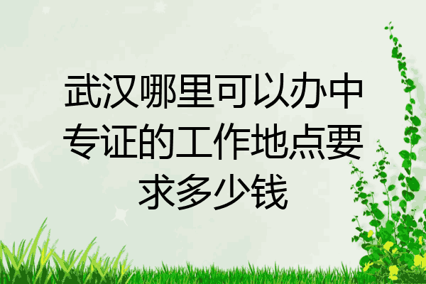 武汉哪里可以办中专证的工作地点要求多少钱