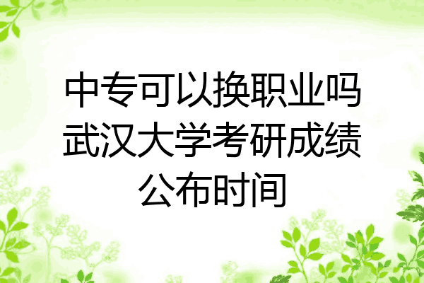 中专可以换职业吗武汉大学考研成绩公布时间