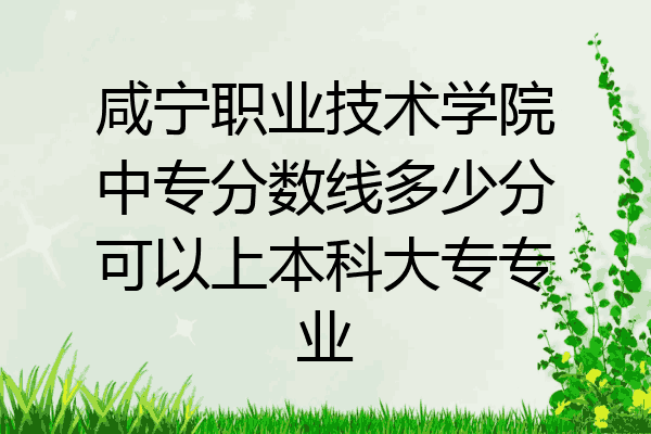 咸宁职业技术学院中专分数线多少分可以上本科大专专业