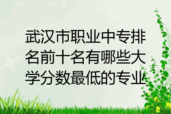 武汉市职业中专排名前十名有哪些大学分数最低的专业