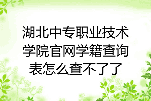 湖北中专职业技术学院官网学籍查询表怎么查不了了