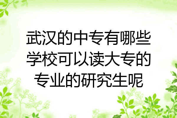 武汉的中专有哪些学校可以读大专的专业的研究生呢