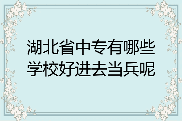 湖北省中专有哪些学校好进去当兵呢