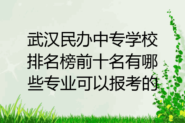 武汉民办中专学校排名榜前十名有哪些专业可以报考的
