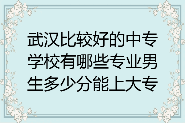 武汉比较好的中专学校有哪些专业男生多少分能上大专