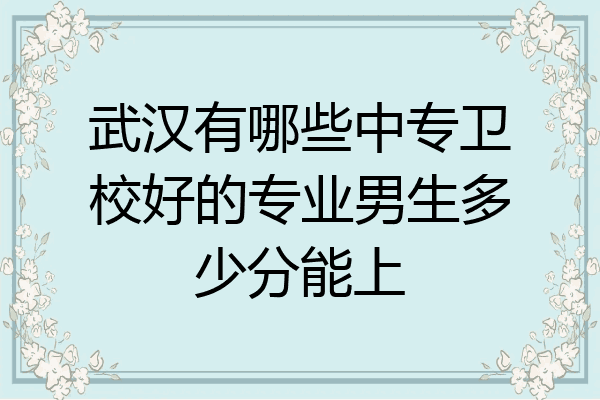 武汉有哪些中专卫校好的专业男生多少分能上