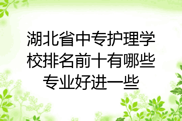 湖北省中专护理学校排名前十有哪些专业好进一些
