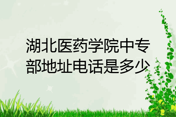 湖北医药学院中专部地址电话是多少
