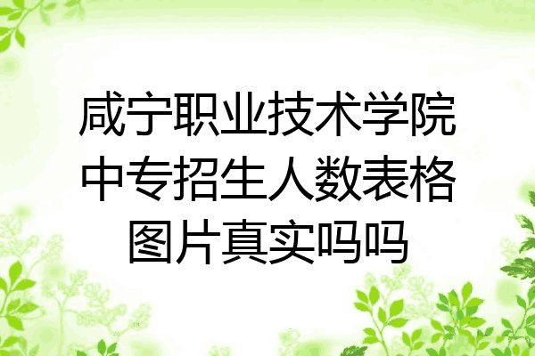 咸宁职业技术学院中专招生人数表格图片真实吗吗