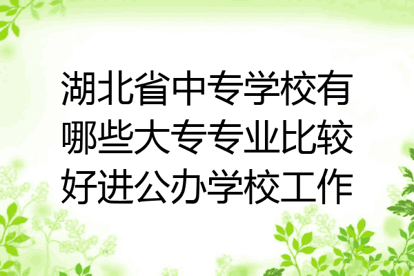 湖北省中专学校有哪些大专专业比较好进公办学校工作