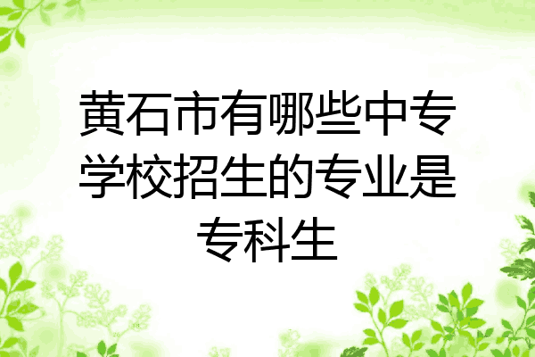 黄石市有哪些中专学校招生的专业是专科生