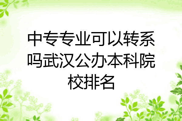 中专专业可以转系吗武汉公办本科院校排名
