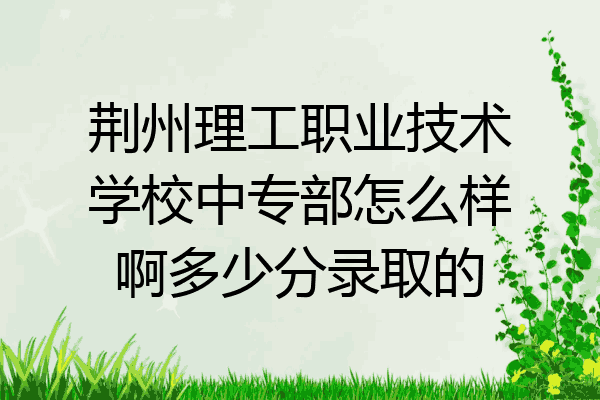 荆州理工职业技术学校中专部怎么样啊多少分录取的