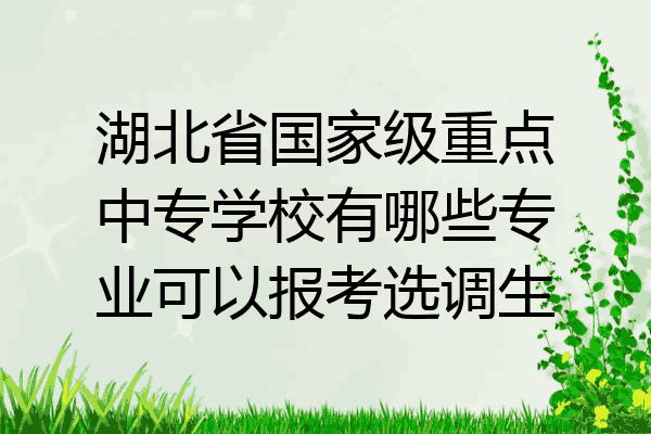 湖北省国家级重点中专学校有哪些专业可以报考选调生