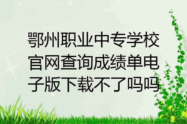 鄂州职业中专学校官网查询成绩单电子版下载不了吗吗