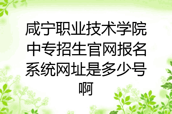 咸宁职业技术学院中专招生官网报名系统网址是多少号啊