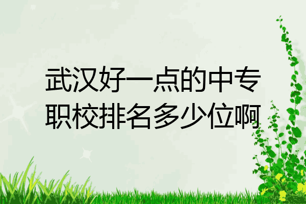 武汉好一点的中专职校排名多少位啊