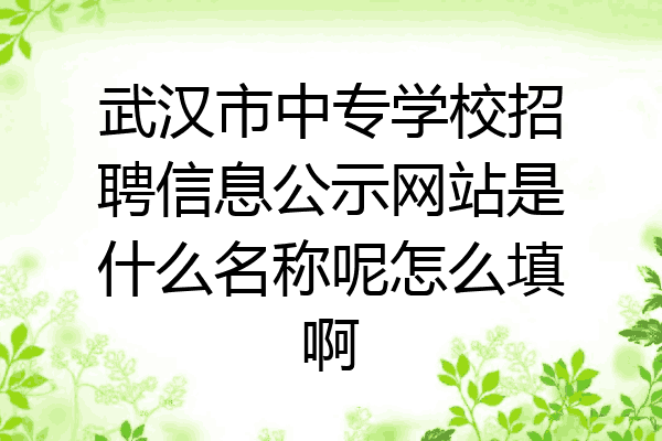 武汉市中专学校招聘信息公示网站是什么名称呢怎么填啊