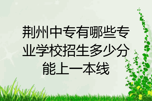 荆州中专有哪些专业学校招生多少分能上一本线
