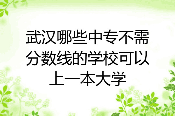 武汉哪些中专不需分数线的学校可以上一本大学