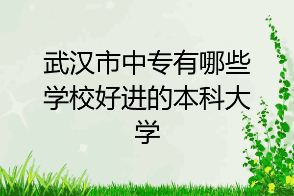 武汉市中专有哪些学校好进的本科大学
