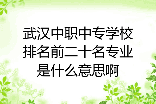 武汉中职中专学校排名前二十名专业是什么意思啊