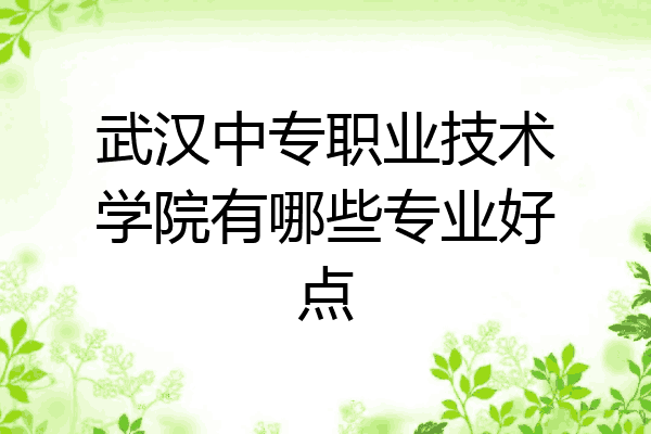 武汉中专职业技术学院有哪些专业好点