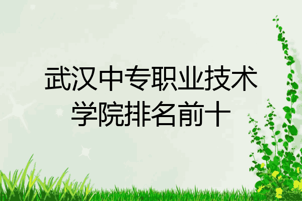 武汉中专职业技术学院排名前十